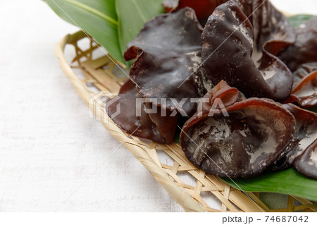 山菜:生きくらげ 山菜:生きくらげ 74687042