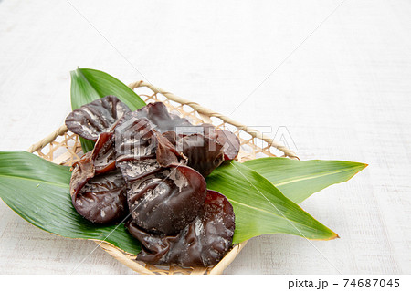 山菜：生きくらげ 74687045