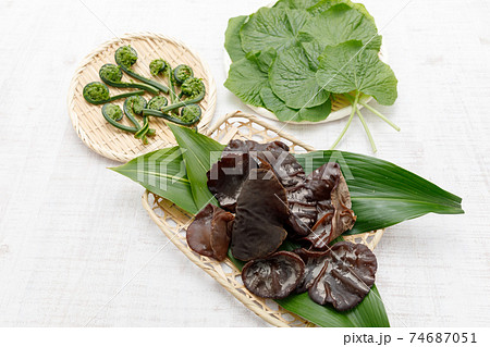 山菜：生きくらげ 74687051