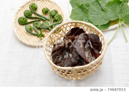 山菜：生きくらげ 74687053