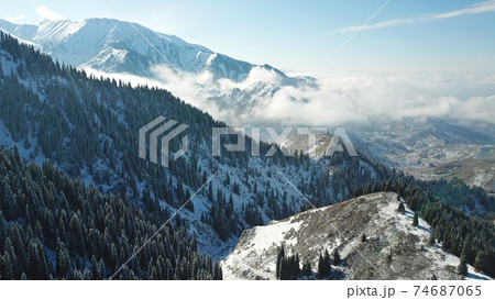 Snow forest in the mountains, above the clouds. 74687065