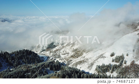 Snow forest in the mountains, above the clouds. 74687127