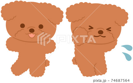 トイプードルのキャラクター2種のイラスト素材