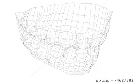 Wire-frame 3D teeth close up Wire-frame 3D teeth close up 74687593