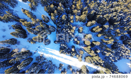 Winter forest high in the mountains. Winter forest high in the mountains. 74688069