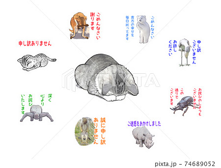 謝罪ネコと謝る動物達のイラスト素材