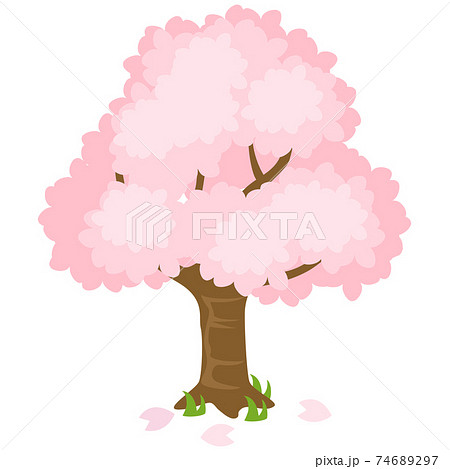 桜の木のべクターイラストのイラスト素材