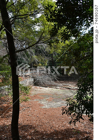 冬の大池公園　堰堤耐震補強工事中 74690167