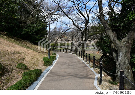 冬の大池公園　堰堤耐震補強工事中 74690189