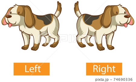 Opposite words with left and right 74690336