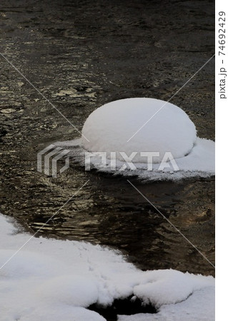 【北海道美瑛町の冬】雪の帽子 1月 【北海道美瑛町の冬】雪の帽子 1月 74692429