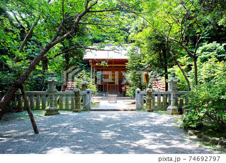【神奈川】初夏の鎌倉　葛原岡神社の社殿と新緑 74692797