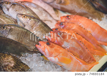 カラフルな鮮魚が並ぶ沖縄の市場の写真 カラフルな鮮魚が並ぶ沖縄の市場の写真 74693184