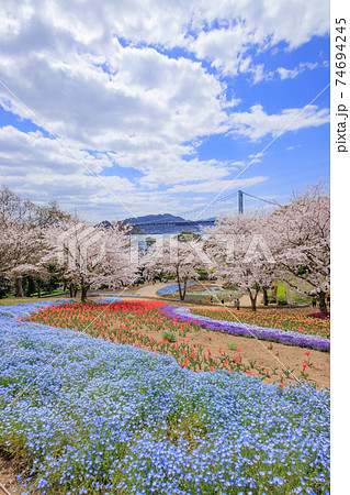 火の山公園トルコチューリップ園 74694245