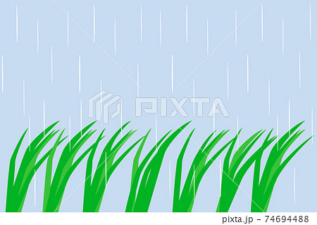 田んぼに雨(穀雨)背景あり 74694488