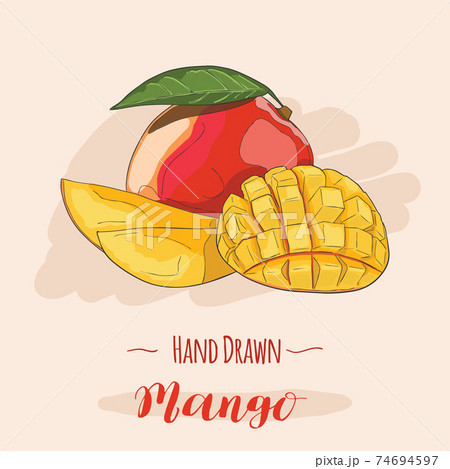 Hand drawn colorful exotic tropical fresh fruit Mango Hand drawn colorful exotic tropical fresh fruit Mango 74694597