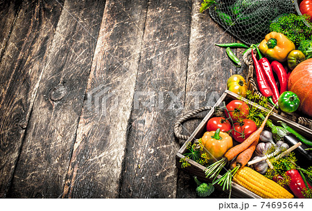 Organic food. Fresh harvest of vegetables. 74695644