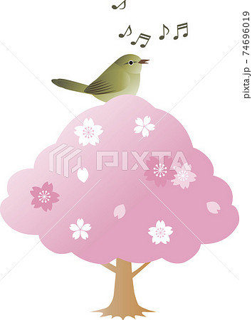 春 さくら 桜 うぐいす 歌う イラスト素材 のイラスト素材