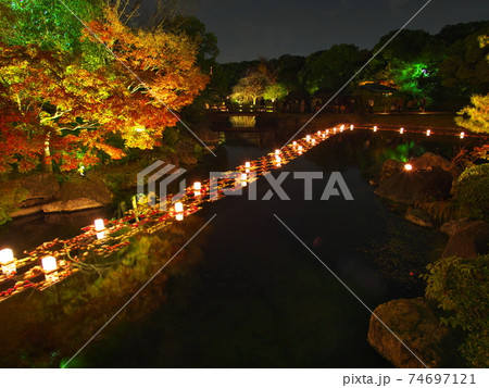紅葉ライトアップの白鳥庭園 74697121