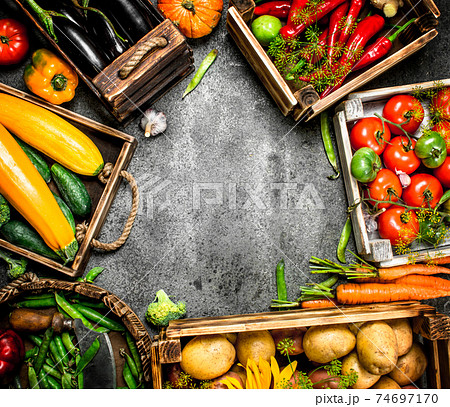 Organic food. Fresh crop of vegetables in boxes. Organic food. Fresh crop of vegetables in boxes. 74697170