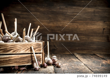 Garlic in an old box. 74699149