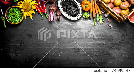 Organic food. Fresh harvest of vegetables and fruits. Organic food. Fresh harvest of vegetables and fruits. 74699543
