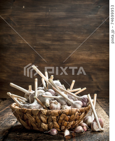 Fresh garlic in a basket. 74699953