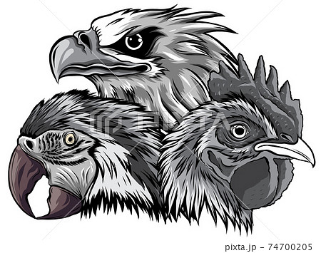 monochromatic Eagle Mascot Logo Design Vector Template illustration monochromatic Eagle Mascot Logo Design Vector Template illustration 74700205