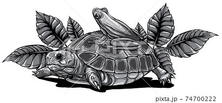 monochromatic Frog and Turtle vector illustration graphics art 74700222