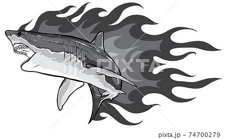 Monochromatic Shark With Flames For Tattoo Or Stock Illustration