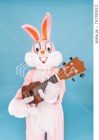 Positive funny musician guitarist plays music by ukulele or Hawaiian guitar isolated on blue. Easter bunny or rabbit or hare celebrates Happy easter Positive funny musician guitarist plays music by ukulele or Hawaiian guitar isolated on blue. Easter bunny or rabbit or hare celebrates Happy easter 74700922