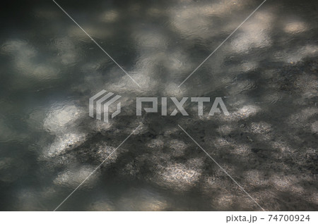 木漏れ日 74700924