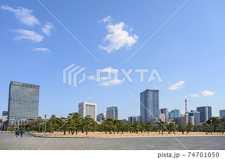 都市風景 皇居外苑の美しい松並木と日比谷の高層ビル群 東京都千代田区 都市風景 皇居外苑の美しい松並木と日比谷の高層ビル群 東京都千代田区 74701050