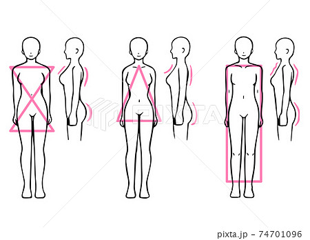 骨格診断 3タイプ 体型イラスト ストレート ウェーブ ナチュラル 正面 横のイラスト素材