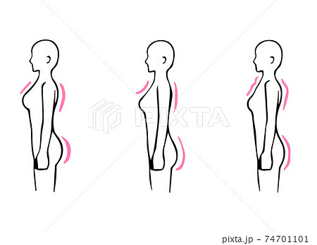 骨格診断 3タイプ 横 側面 体型イラスト ストレート ウェーブ ナチュラル のイラスト素材