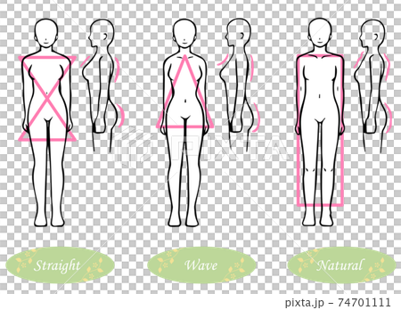 Skeleton diagnosis 3 types body shape illustration (straight, wave, natural) front and side Skeleton diagnosis 3 types body shape illustration (straight, wave, natural) front and side 74701111