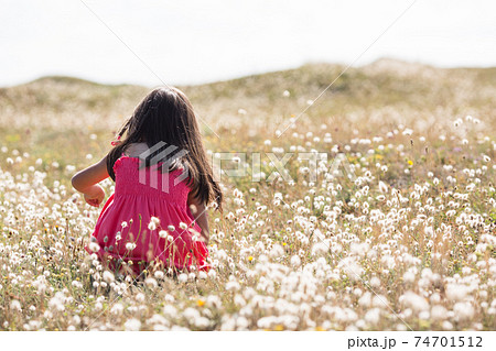 フランス ブルターニュの海岸の砂丘で草花を摘む女の子の後ろ姿 の写真素材