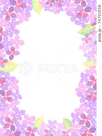 水彩で描いた紫陽花のイラストフレーム 74701656