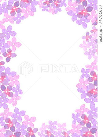 水彩で描いた紫陽花のイラストフレーム 74701657