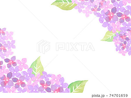 水彩で描いた紫陽花のイラストフレーム 74701659