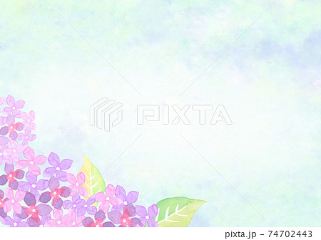 水彩で描いた紫陽花の背景イラスト 74702443