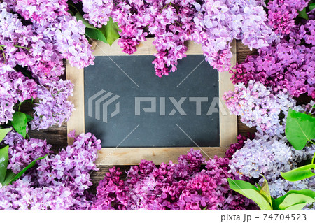 Fresh lilac flowers Fresh lilac flowers 74704523