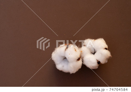 Cotton buds on brown 74704584