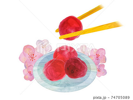 梅干し カリカリ梅 箸 梅の花 挿絵 和食 水彩イラスト 和風 日本食のイラスト素材