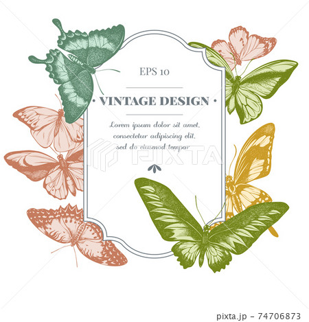 Badge design with pastel great orange-tip, emerald swallowtail, jungle queens, plain tiger, rajah Badge design with pastel great orange-tip, emerald swallowtail, jungle queens, plain tiger, rajah 74706873