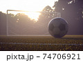 Soccer Ball Goal Net Lawn Field 74706921