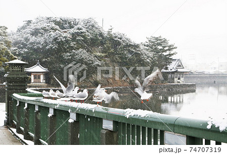 雪の和歌の浦 妹背山を望む 雪の和歌の浦 妹背山を望む 74707319
