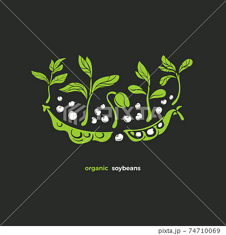 Soy symbol. Vector green card. Healthy ingredient 74710069