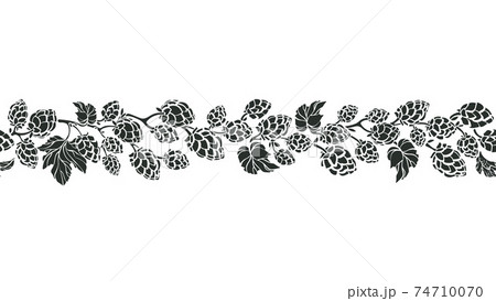 Hops vector seamless pattern Art herb illustration 74710070