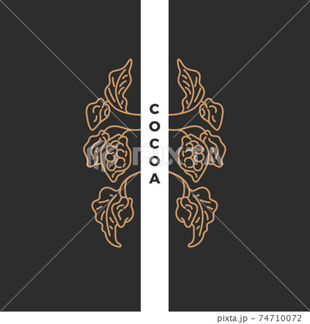 Cocoa oriental pattern. Vector art line bio symbol 74710072